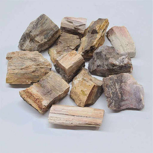 Petrified Wood Rough Stone For Ancient Wisdom And Patience