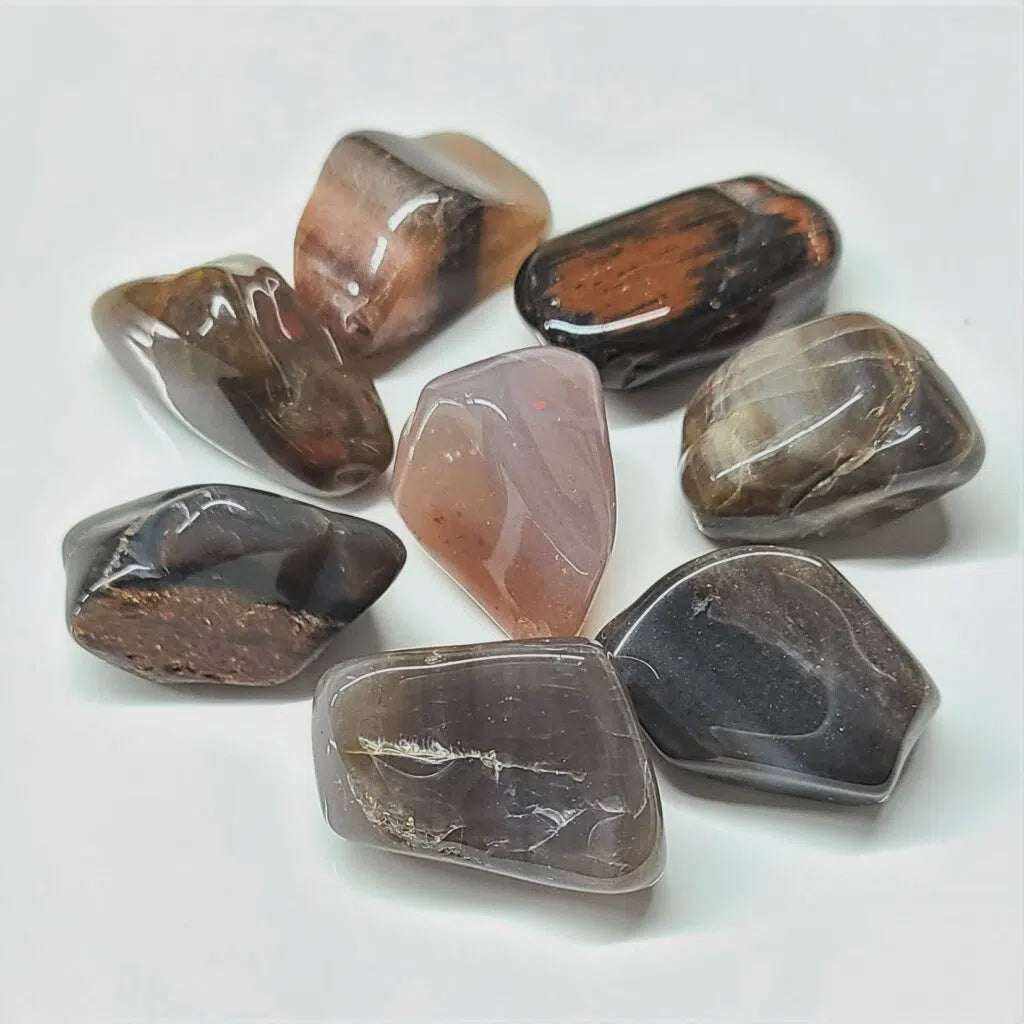 Ancient Wisdom Petrified Wood Tumbled Stone for Grounding