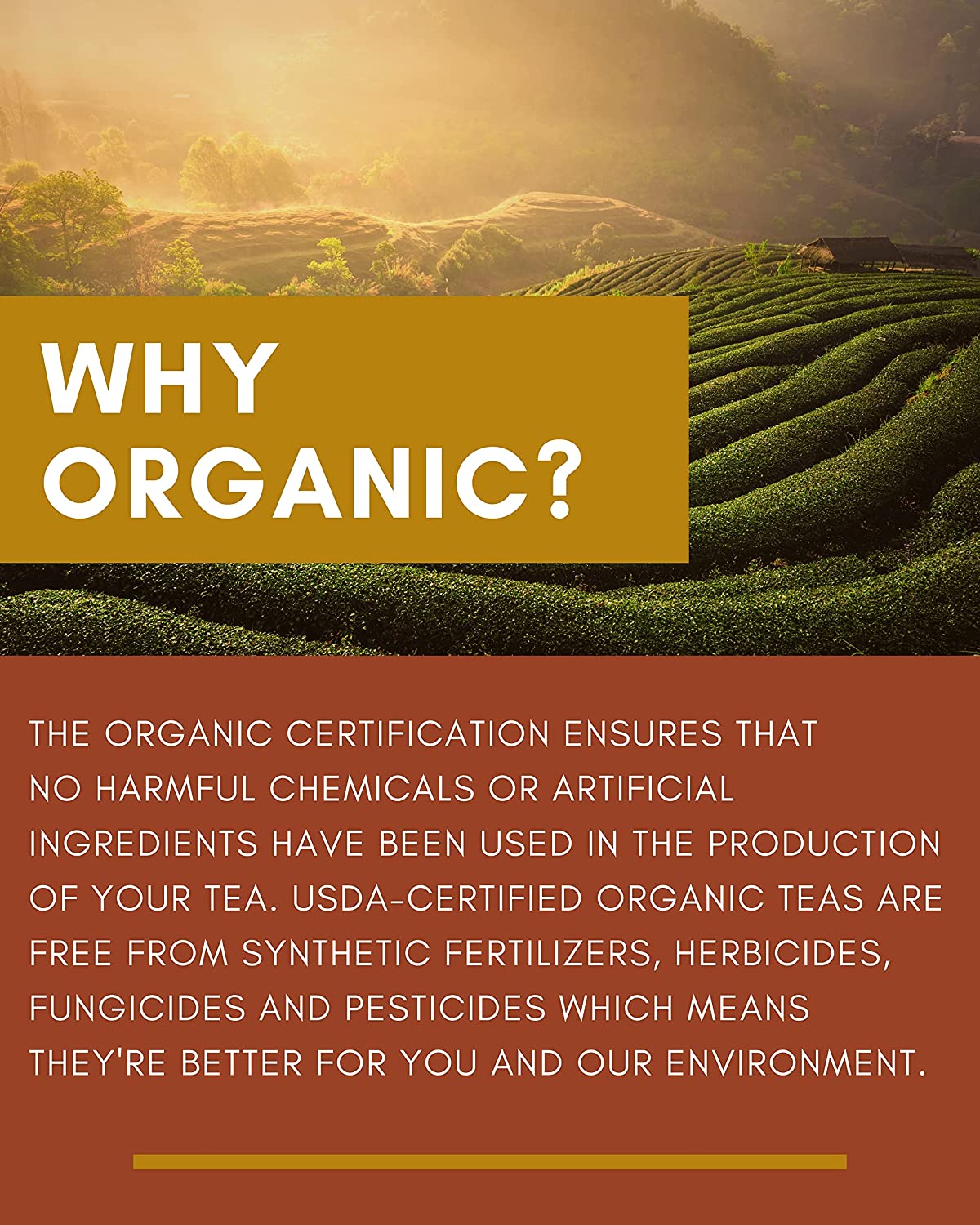 USDA Organic Lemon Essence Black Loose Leaf Tea with Green Rooibos