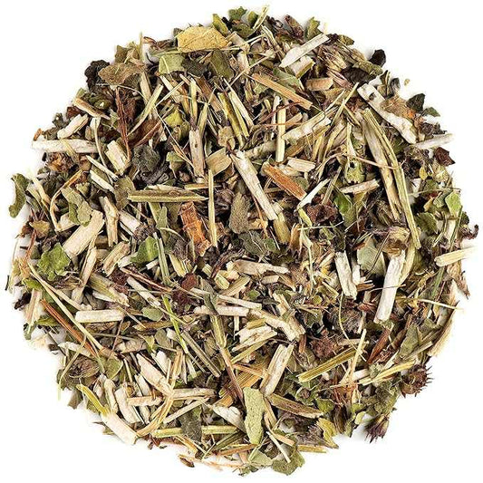 Premium Wood Betony Herb, Cut and Sifted, 1oz Pack