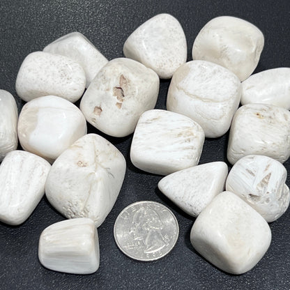 White Scolecite Zeolite Crystal Tumbled Stones (By The Piece Or Pound) Wholesale