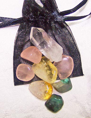 Taurus Medicine Pouch