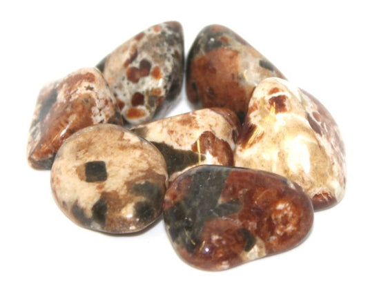 Garnet/Limestone w/Epidot