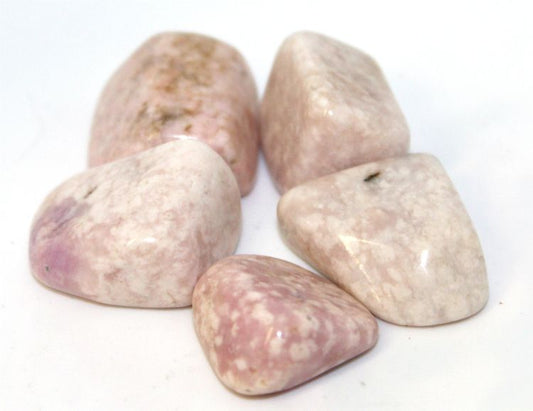 Tanzanite Prairie Pink B