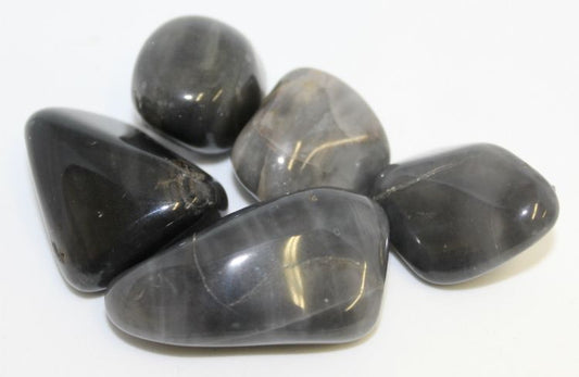 Cradle of Humankind B