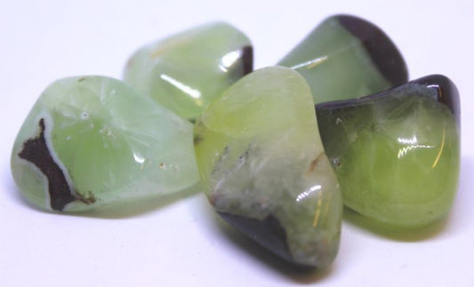 Large Prehnite Tumbled