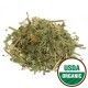 Periwinkle Herb Organic