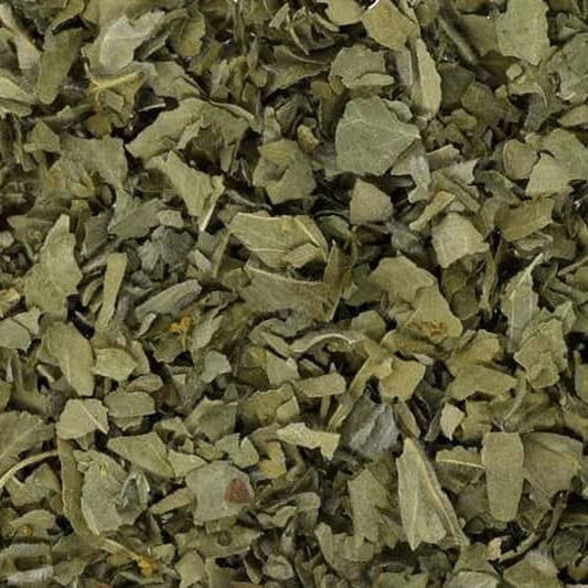 Lady's Mantle Herb Organic