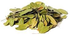Bearberry (Uva Ursi) 1oz
