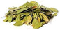 Bearberry (Uva Ursi) 1oz