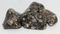 Agate Turritella