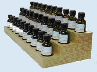 Christmas Cookie Body Oil