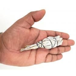 Mini White Sage Cuties