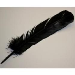 Black Feather