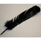 Black Feather