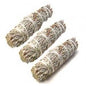 Blue Sage 3 pack 4-5"