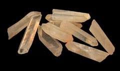 Golden Healer Lemurian XSmall