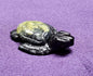 Septairian Turtle Small