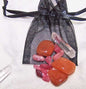 Libra Medicine Pouch