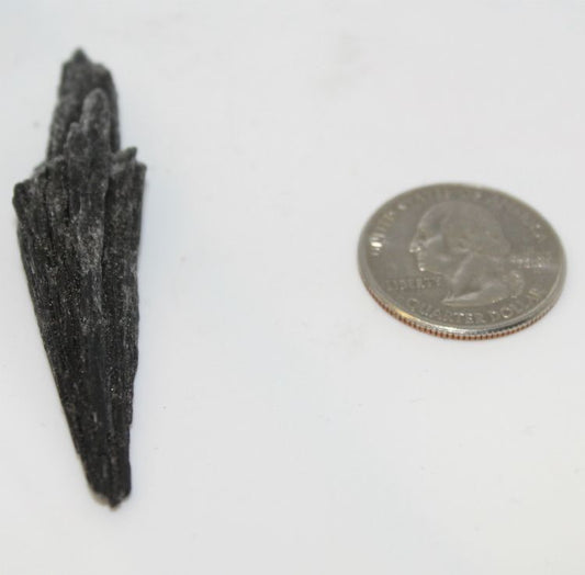 Kyanite Black Blades Large