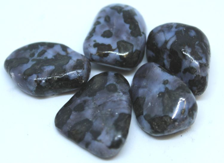 Gabbro Jasper A