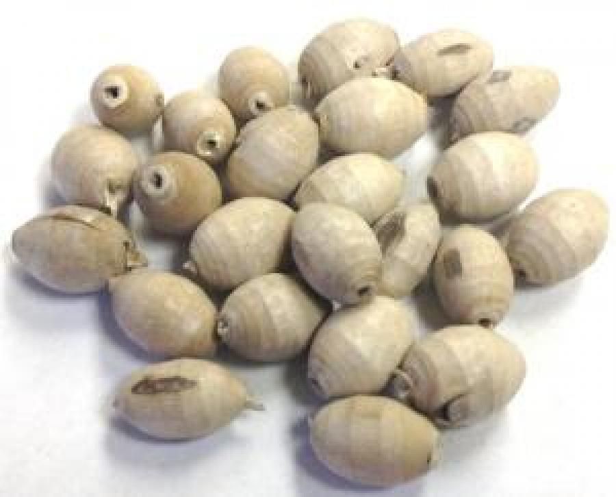 Tulsi "Oval Shaped" Bead 5-Pk