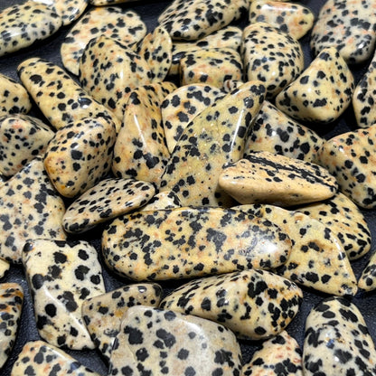 Spotted Dalmatian Jasper Tumbled Stones (By The Piece Or Pound) Wholesale