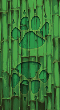 Fun Panda Tarot Deck for Uplifting Insight and Wisdom