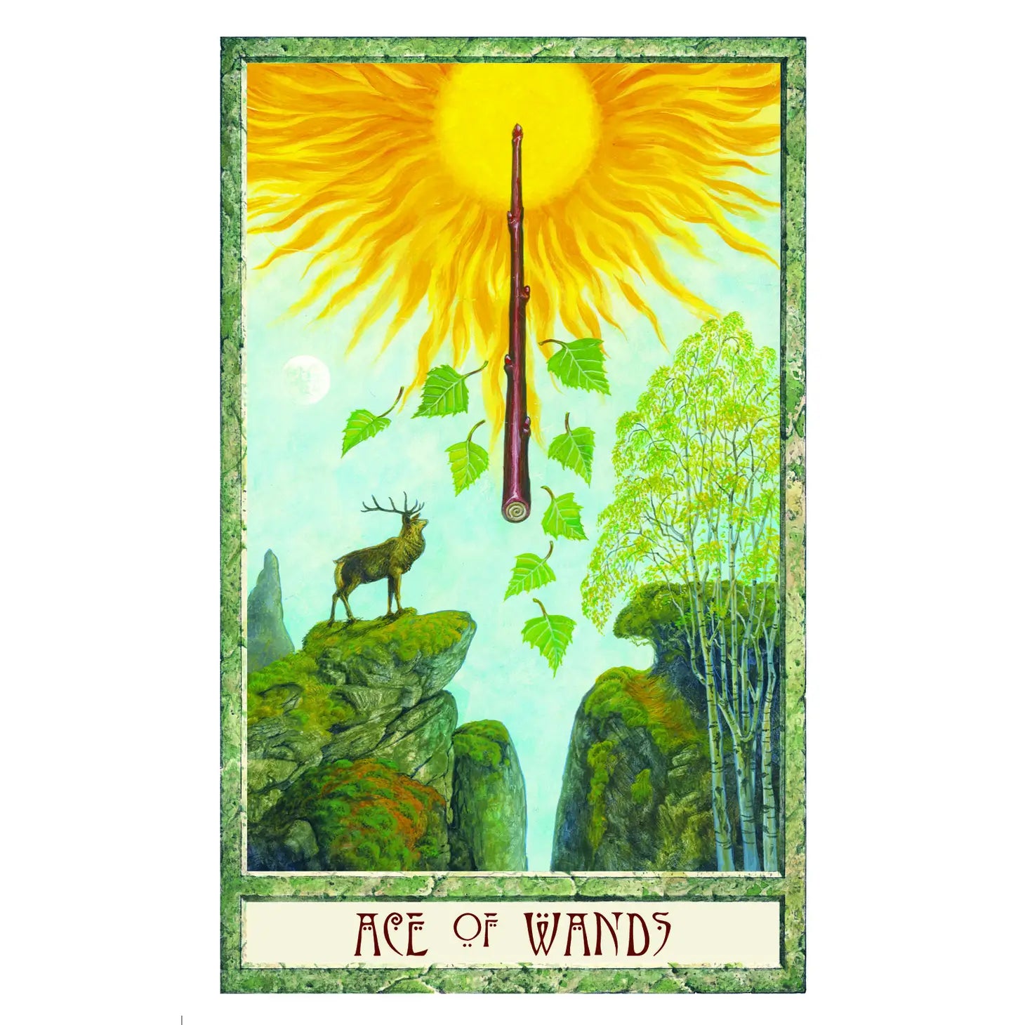 Druidcraft Tarot Deck for Mystical Divination and Insight