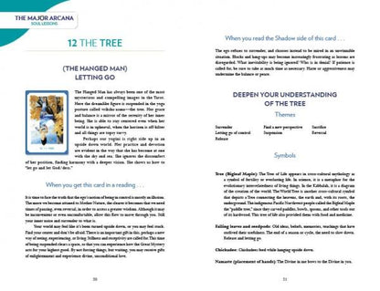 Gaian Tarot Deck by Schiffer: Earth Healing and Self Focus