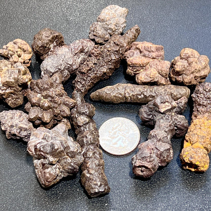 Egyptian Prophecy Stone Pseudomorph Clusters And Rods Rough Gram Gemstone Decor