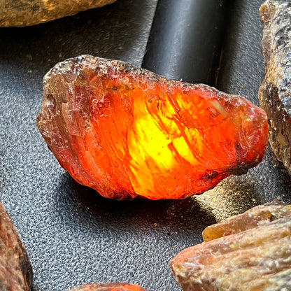 Black Amber Fossilized Tree Resin Mixed Sizes Rough Raw Stones (By The Piece or Pound)(UV Reactive) Wholesale