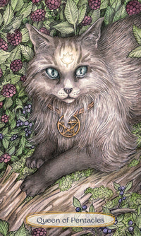 Soul Cats Tarot Deck For Spiritual Guidance And Love