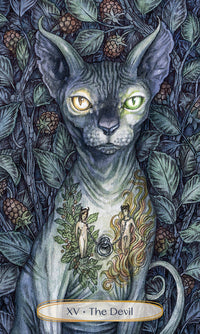 Soul Cats Tarot Deck For Spiritual Guidance And Love