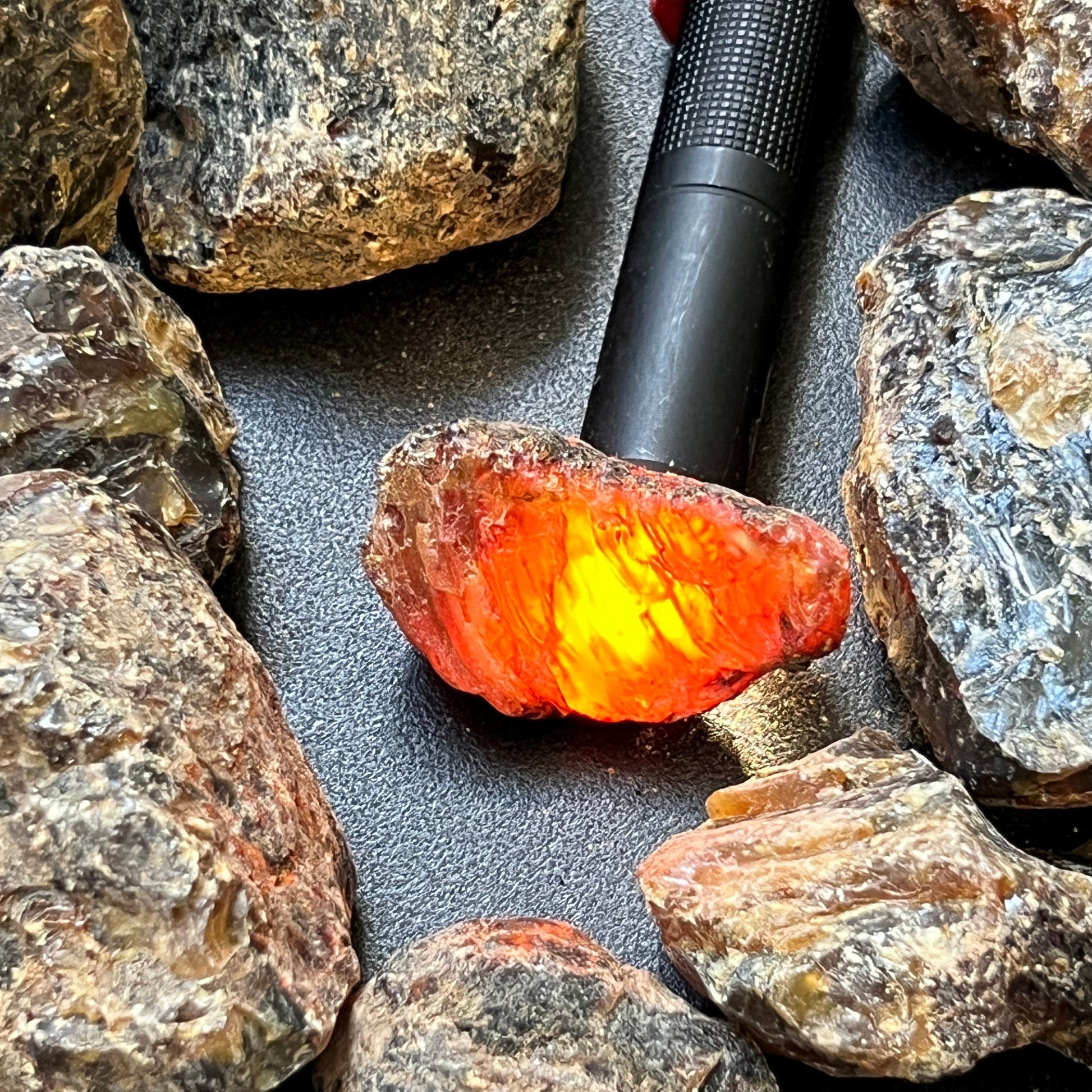 Black Amber Fossilized Tree Resin Mixed Sizes Rough Raw Stones (By The Piece or Pound)(UV Reactive) Wholesale