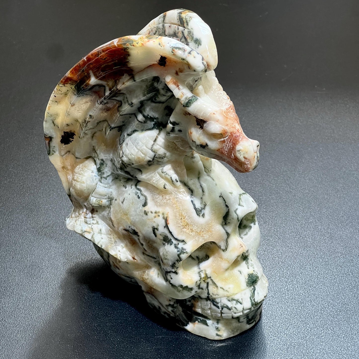 Large Skull and Dragon Carving Red Moss Agate Select Wholesale