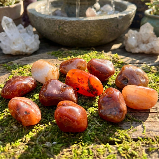 Large Carnelian Red Agate Tumbled Stones (By The Piece or Pound) Wholesale