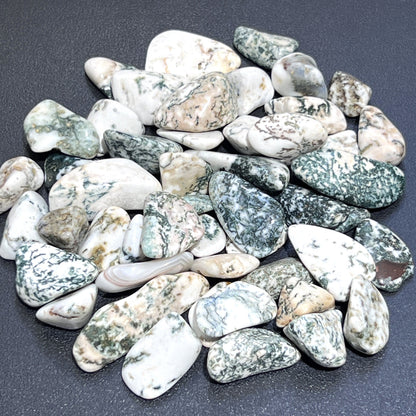 Tree Agate Tumbled Stones (By The Piece Or Pound) Bulk Wholesale Lot Polished Gemstones