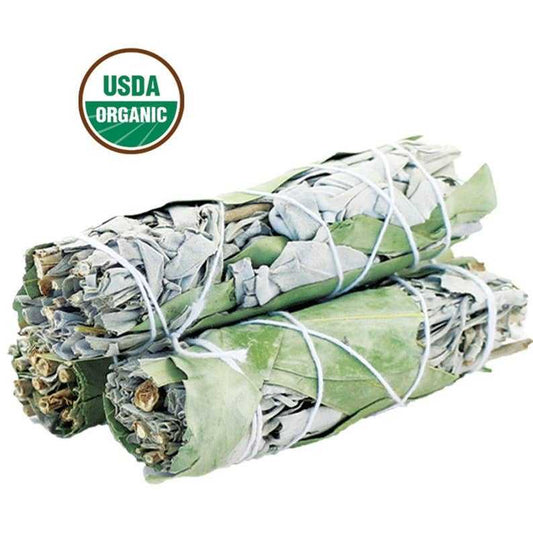 White Sage Eucalyptus Smudge Stick 4 Inch for Cleansing and Healing