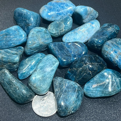Extra Quality Blue Apatite Tumbled (By The Piece Or Pound) Gemstone Decor Wholesale Bulk Supply