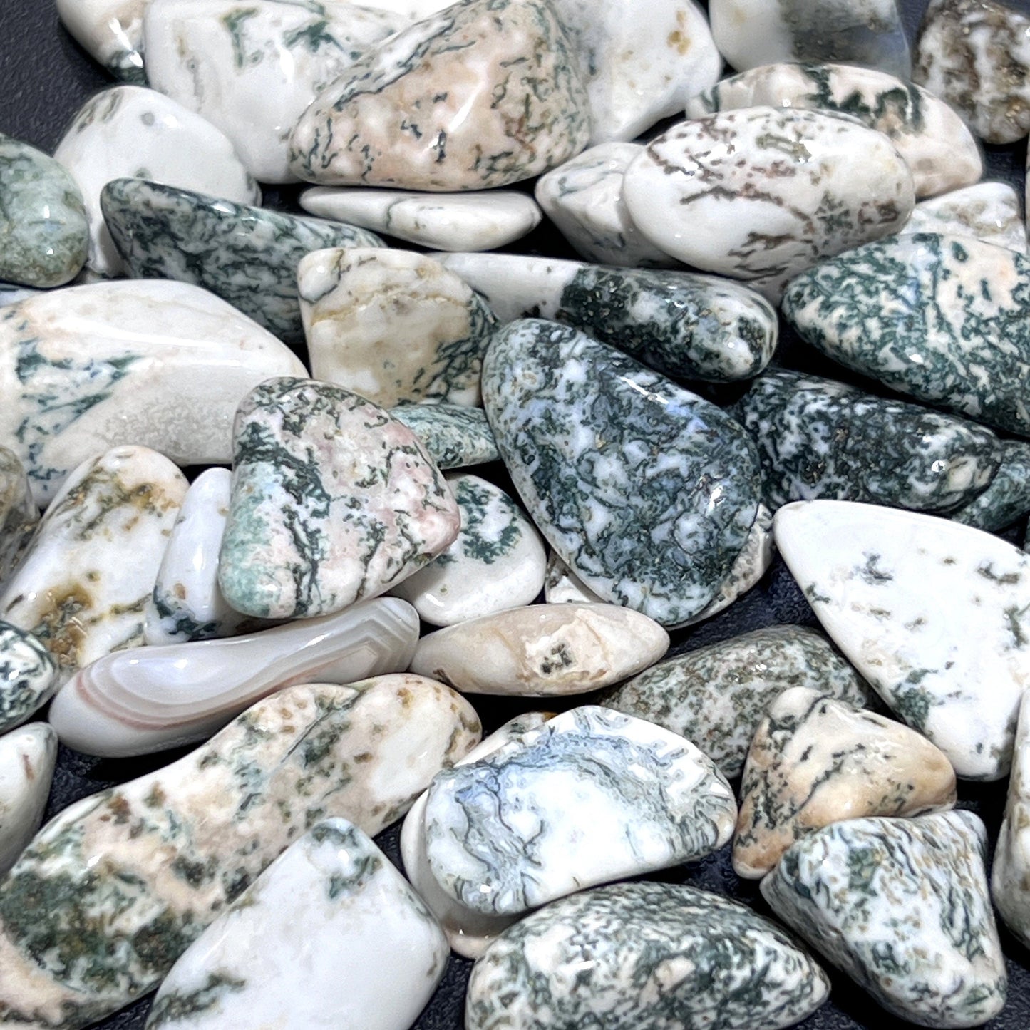 Tree Agate Tumbled Stones (By The Piece Or Pound) Bulk Wholesale Lot Polished Gemstones