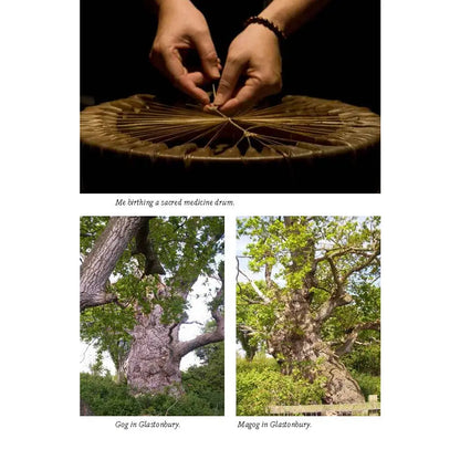 Crystal Shamanism: Sacred Earth Medicine Healing Book
