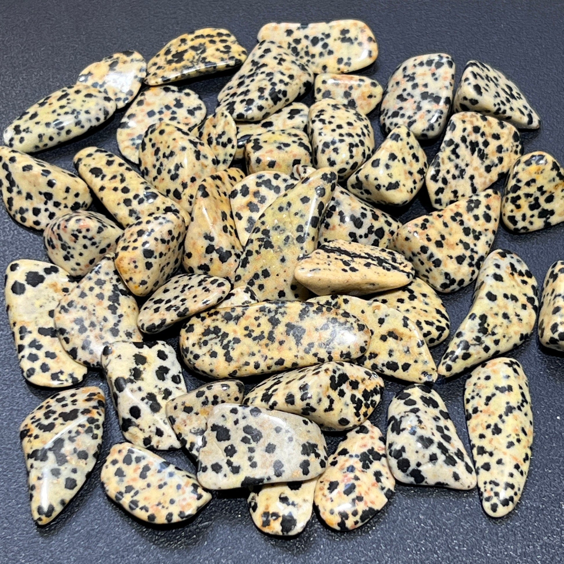 Spotted Dalmatian Jasper Tumbled Stones (By The Piece Or Pound) Wholesale