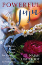 Powerful Juju Magick Book: Guidance From Iconic Women