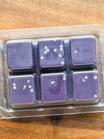 Fragrant Hidden Library Wax Melt With Woody Musk Scents