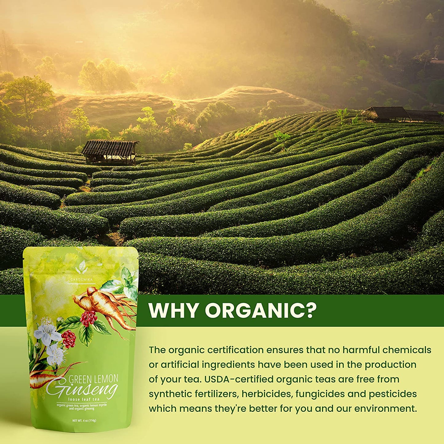 USDA Organic Green Lemon Ginseng Loose Leaf Tea, 4 Oz