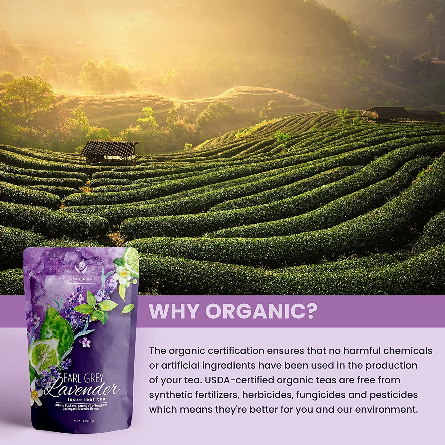 Organic Earl Grey Lavender Loose Tea Blend with Bergamot