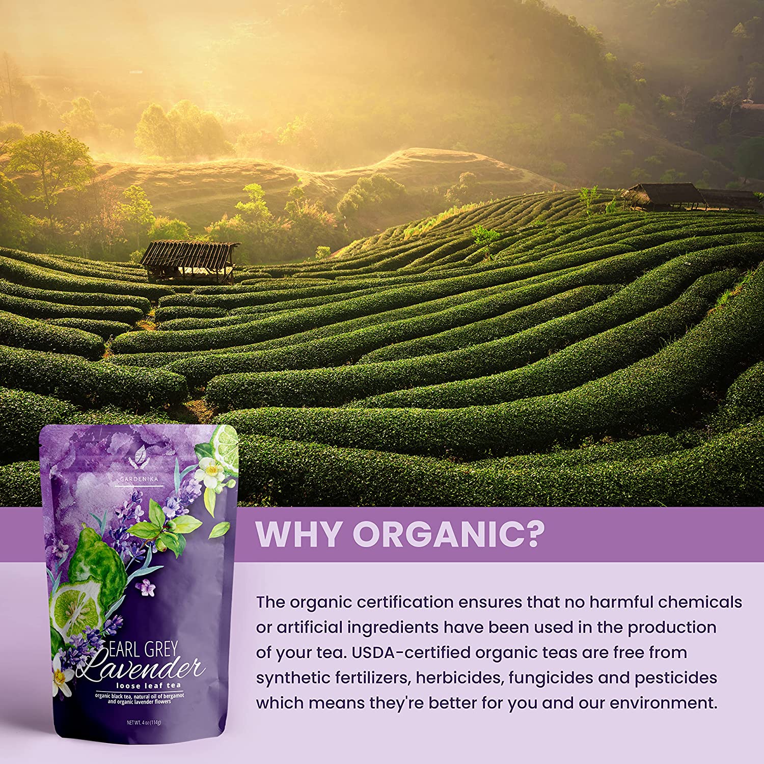 Organic Earl Grey Lavender Loose Tea Blend with Bergamot