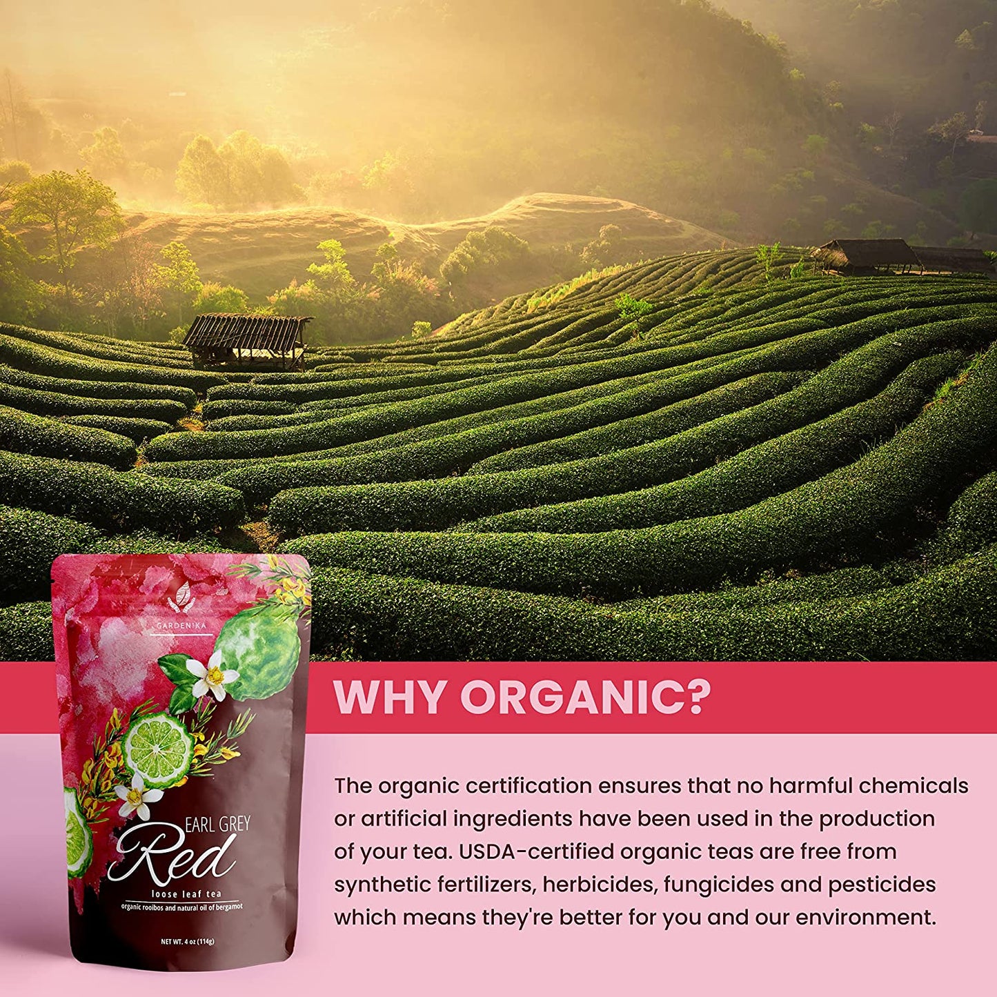 USDA Organic Earl Grey Rooibos Loose Leaf Tea, Caffeine-Free