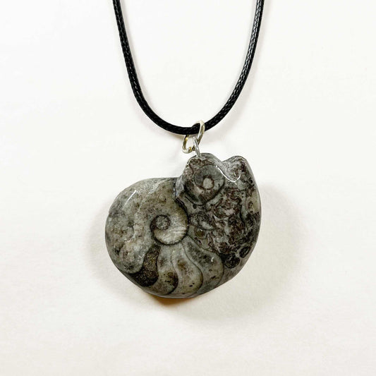 Mystical Ammonite Goniatite Fossil Necklace For Ancient Energy